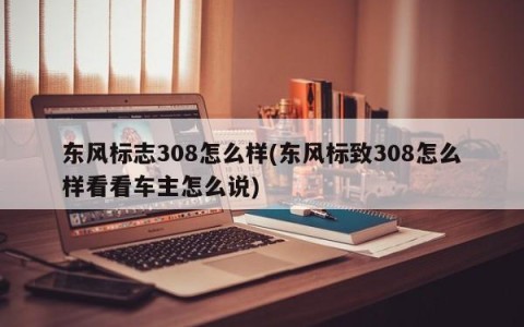 东风标志308怎么样(东风标致308怎么样看看车主怎么说)