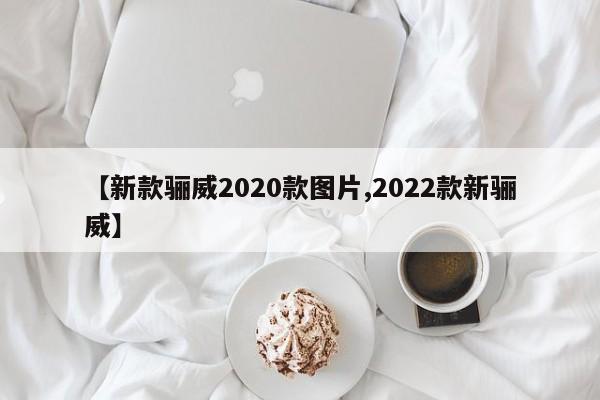 【新款骊威2020款图片,2022款新骊威】