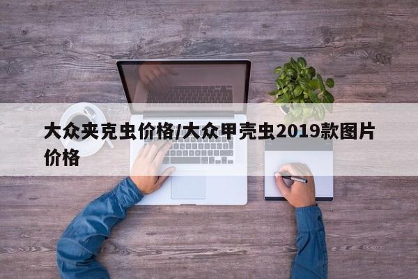 大众夹克虫价格/大众甲壳虫2019款图片价格