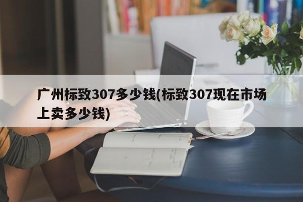 广州标致307多少钱(标致307现在市场上卖多少钱)
